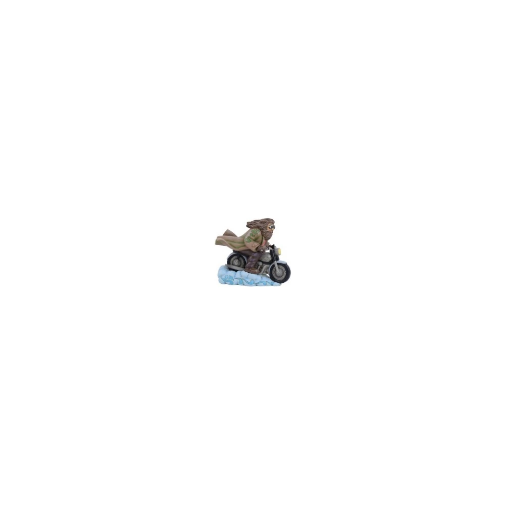 HAGRID ON BIKE