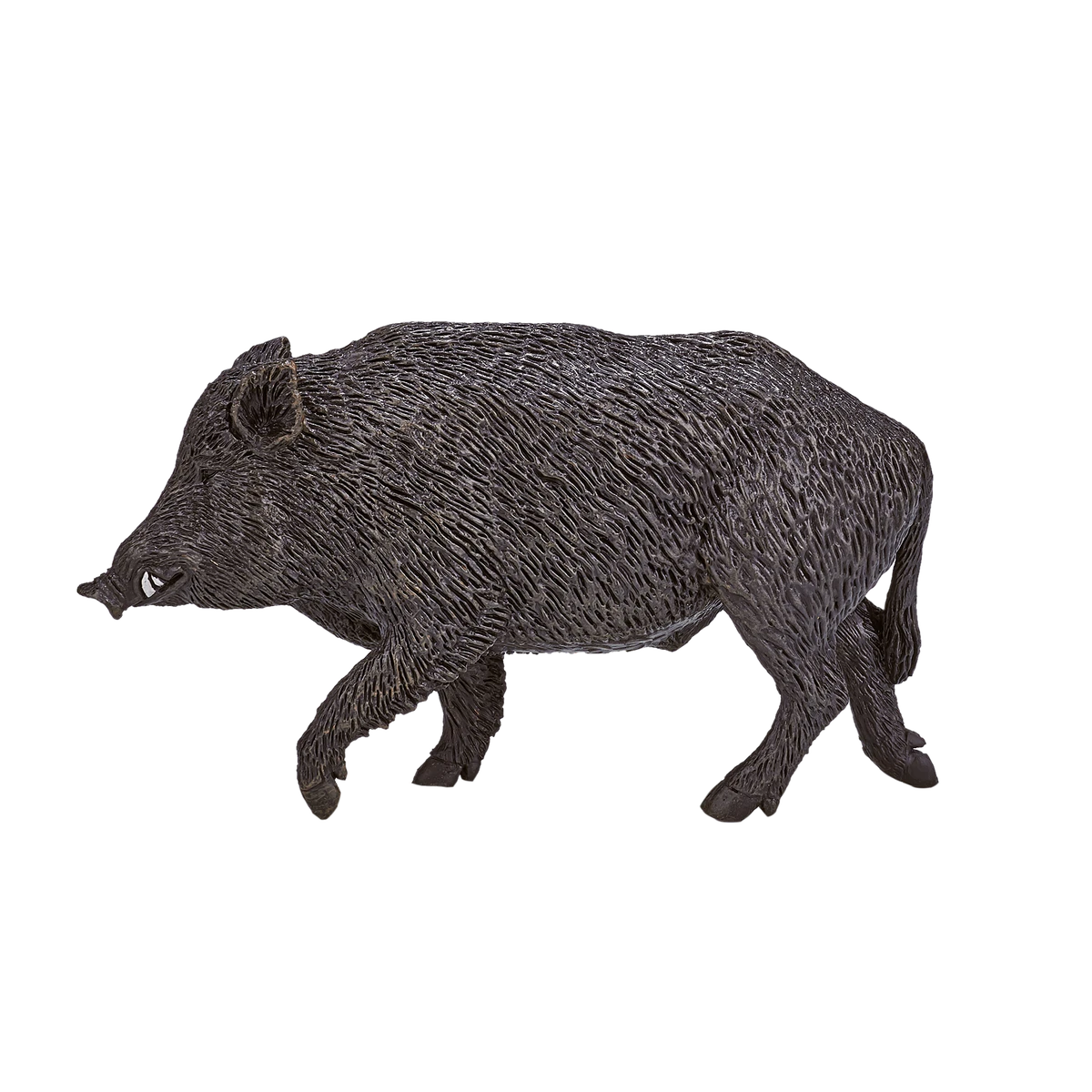 گراز وحشی
