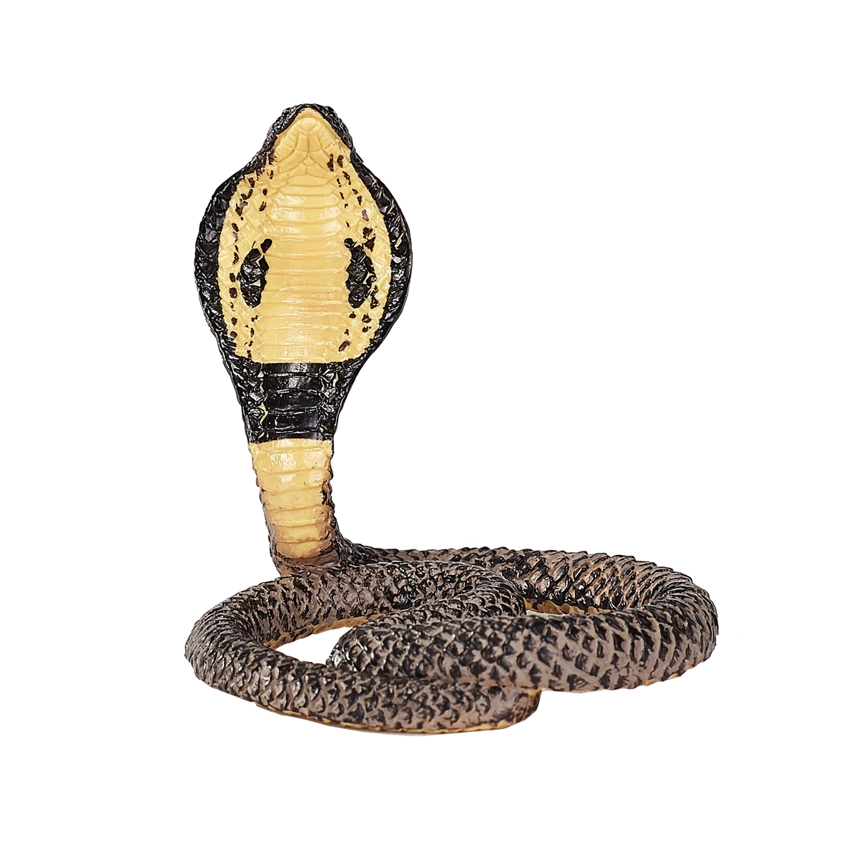شاه مار کبری
