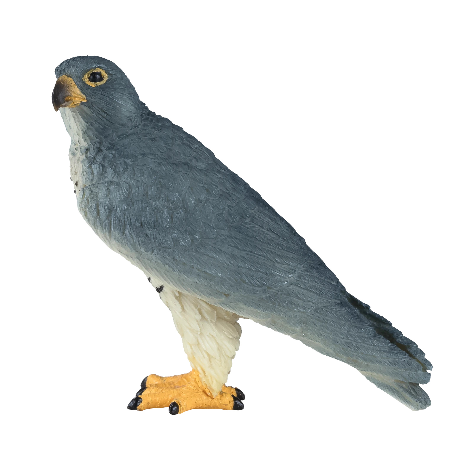 شاهین پرگرین