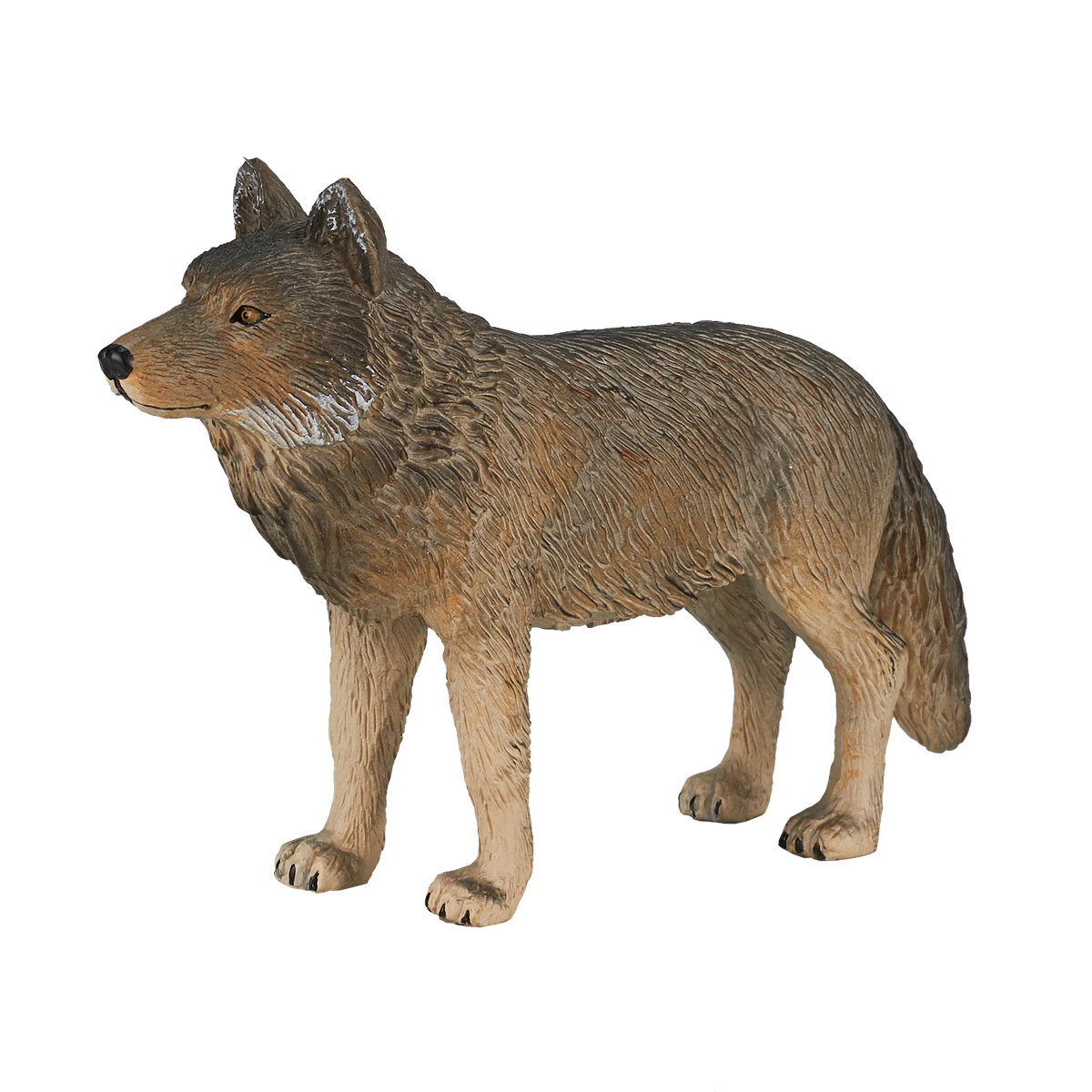گرگ ایستاده