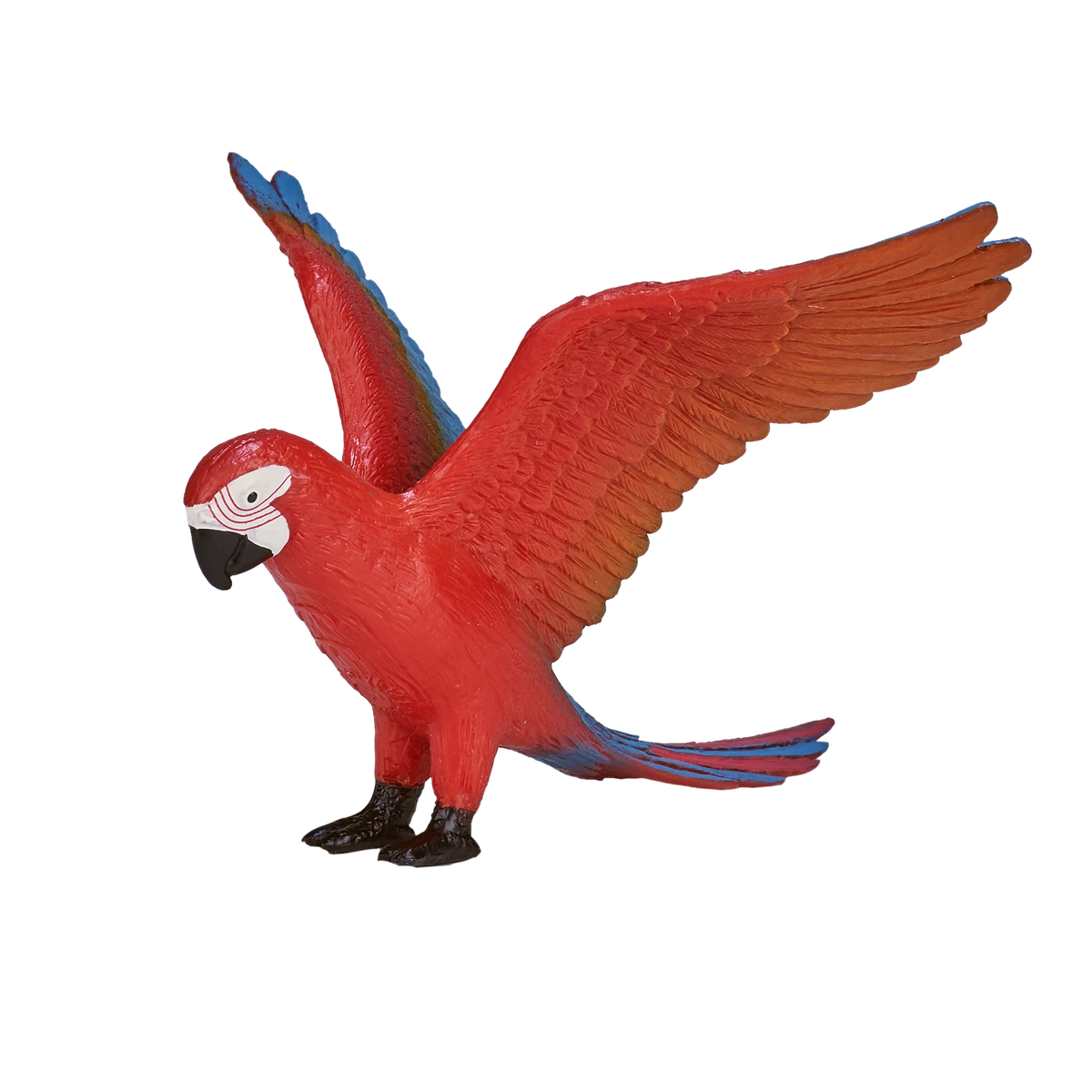 طوطی