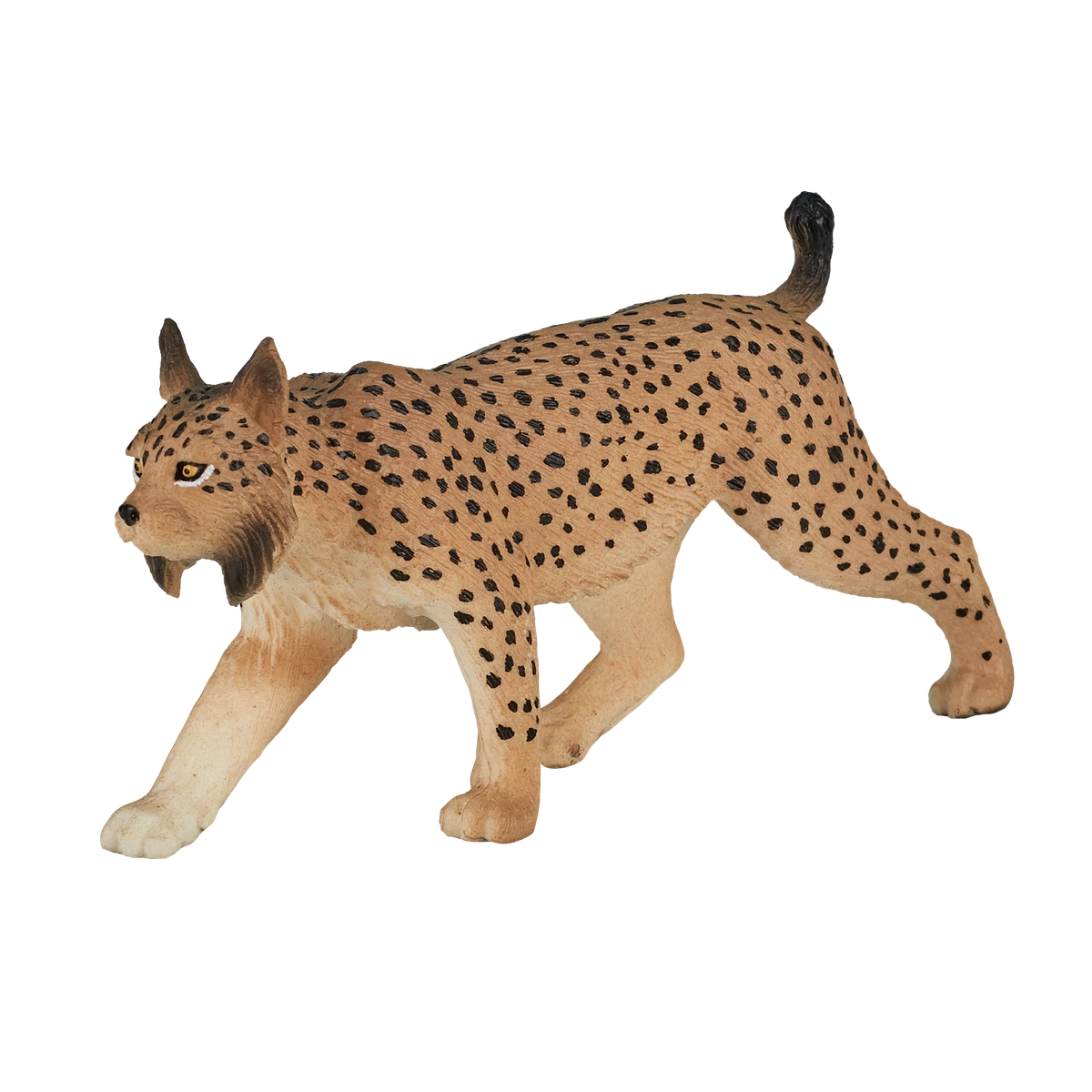 گربه وحشی