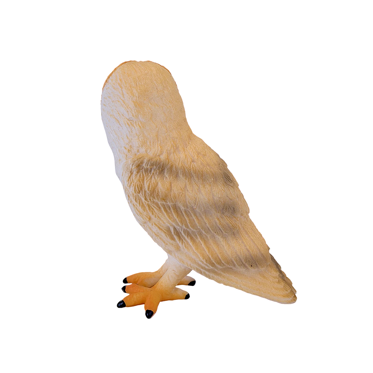 جغد خالدار