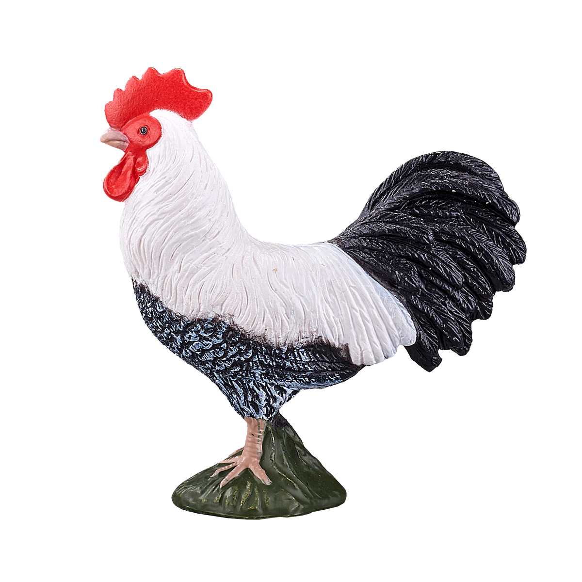 خروس