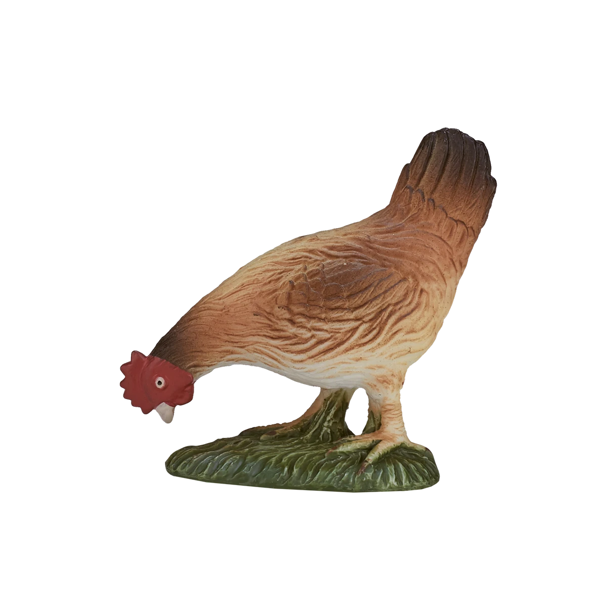 مرغ در حال تغذیه