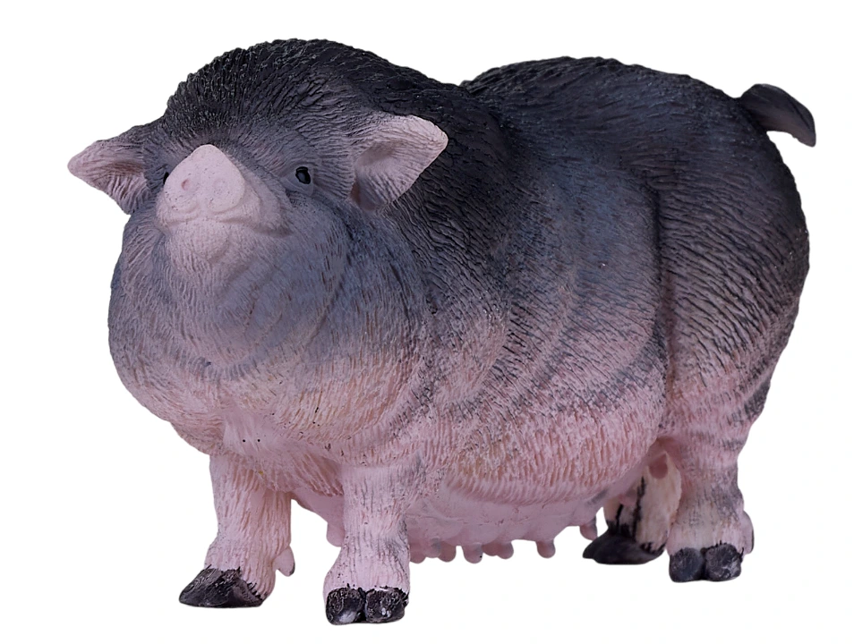 خوک شکم گنده