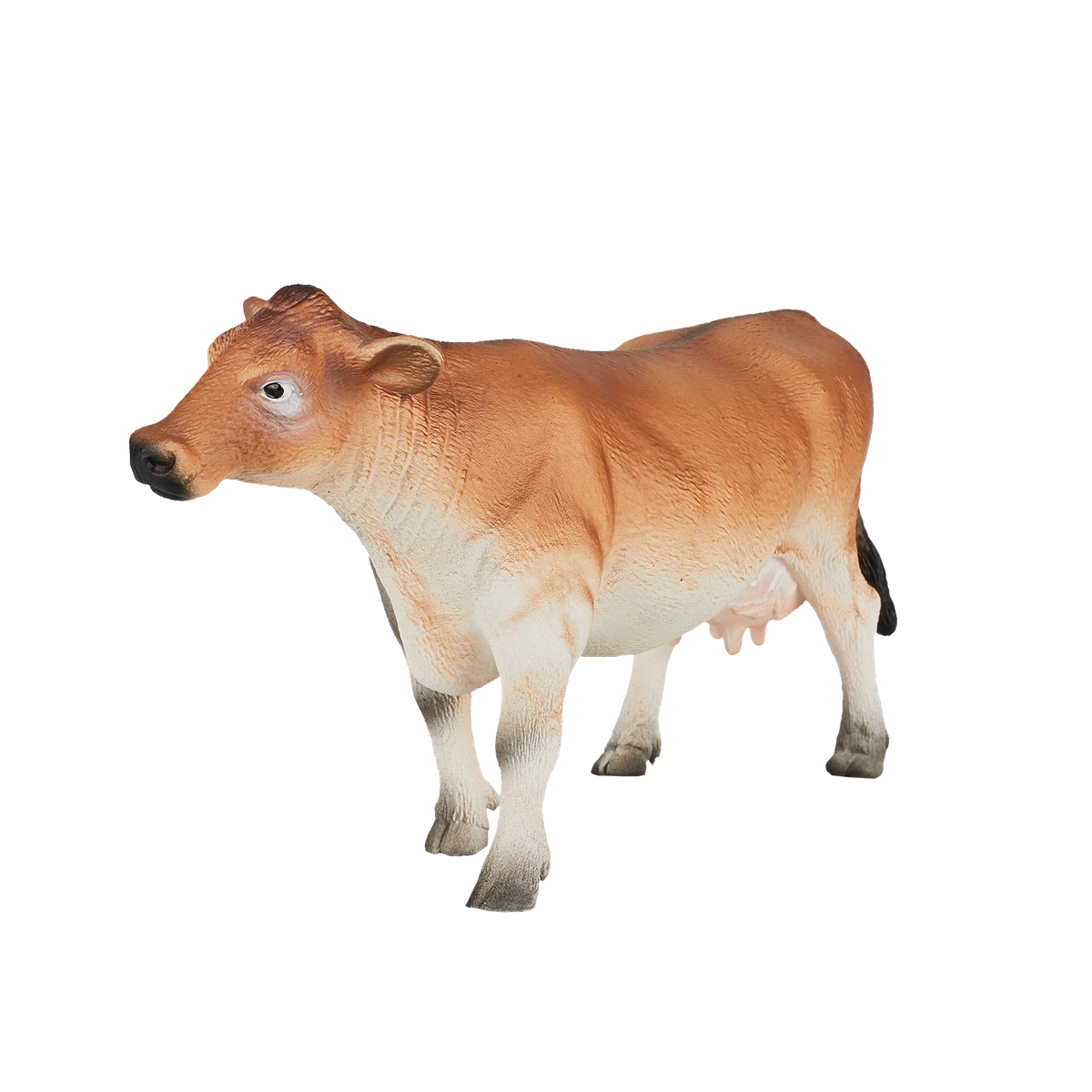 گاو جرسی