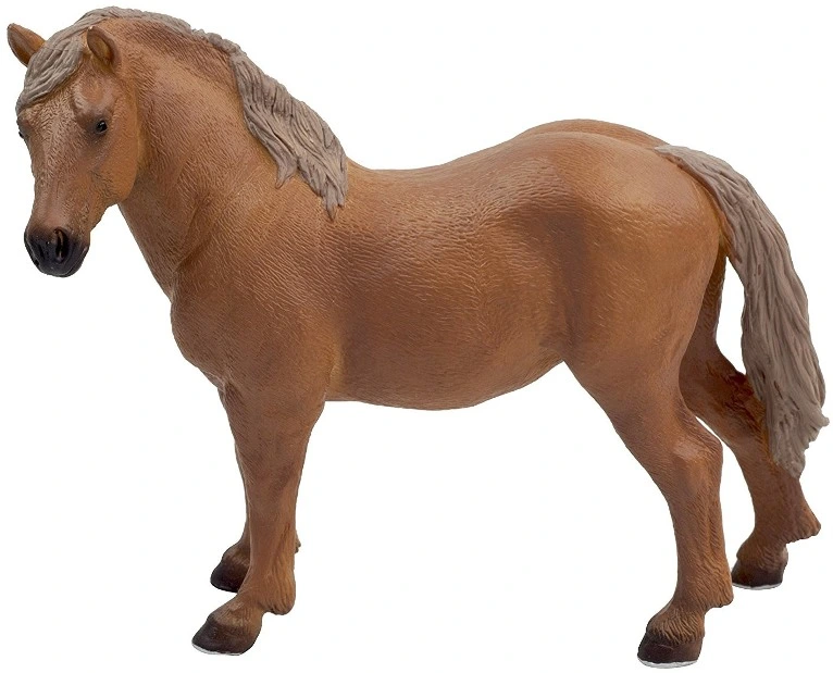 اسب ماده سافولک پانچ