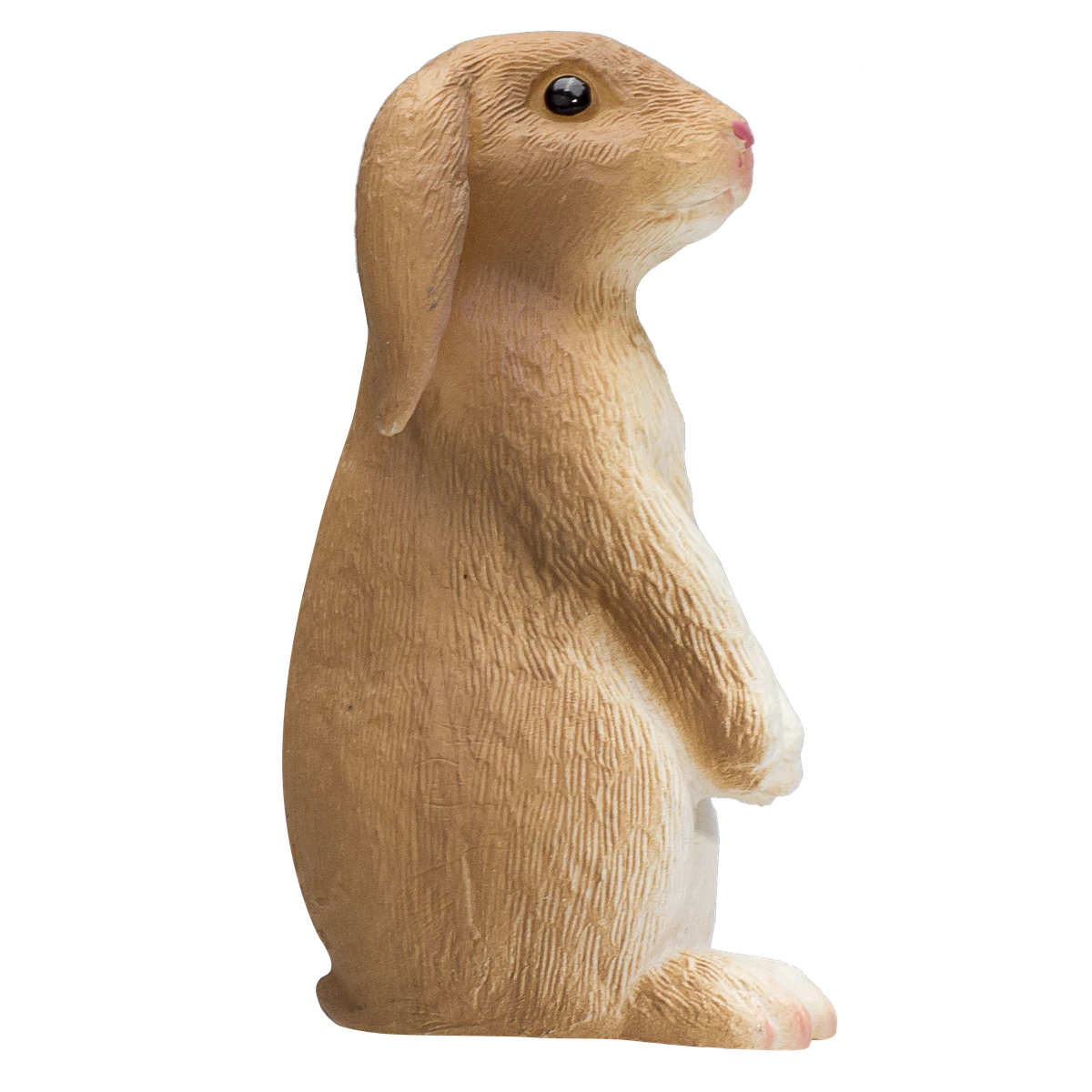 خرگوش ایستاده