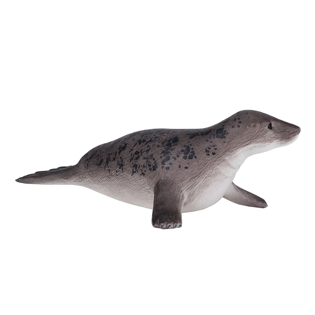 سیل خاکستری
