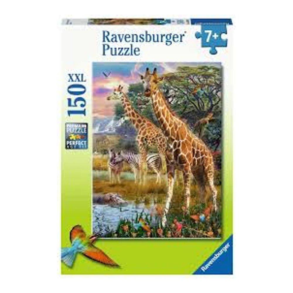 Giraffes in Africa