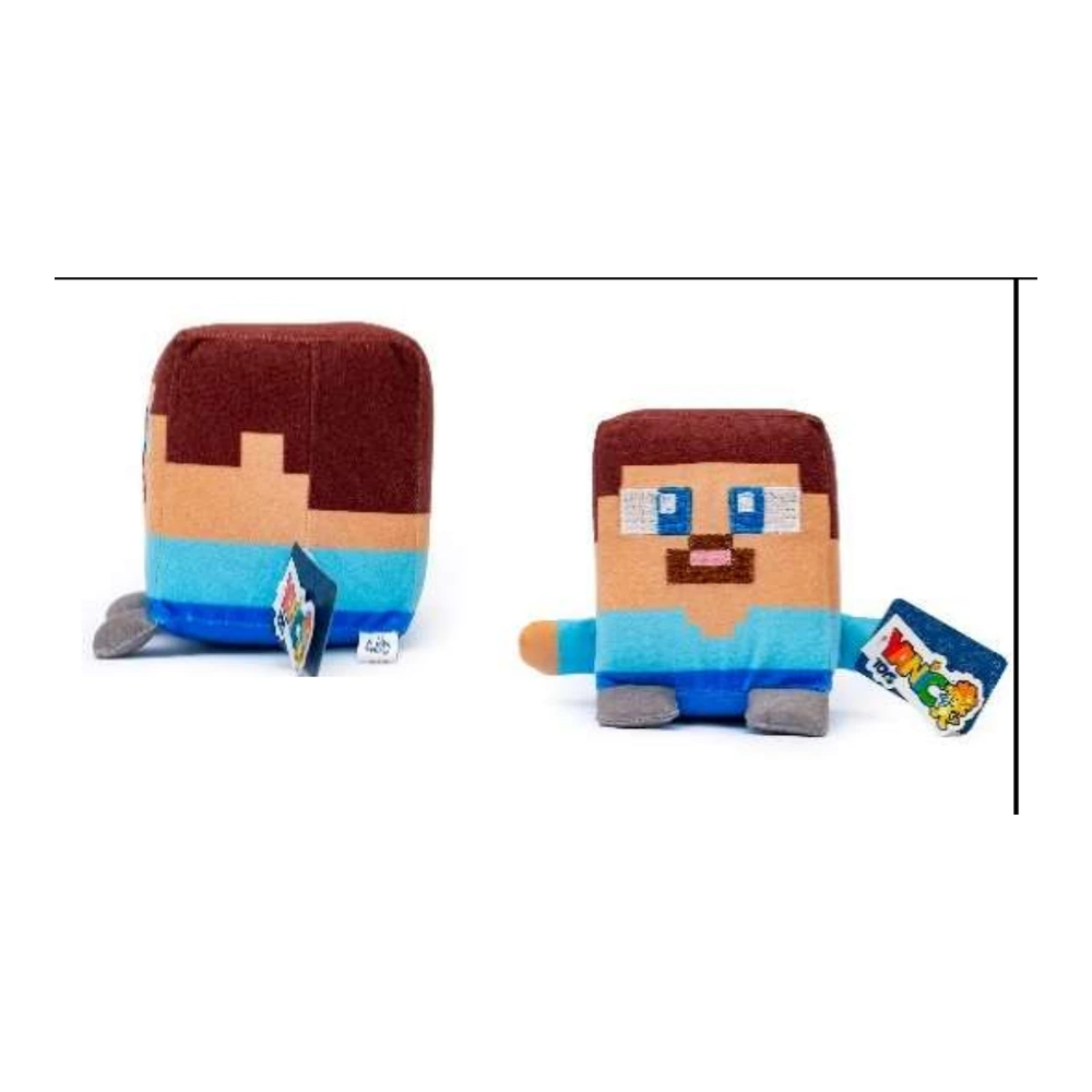 شخصیت مکعبی استیو ماینکرافت